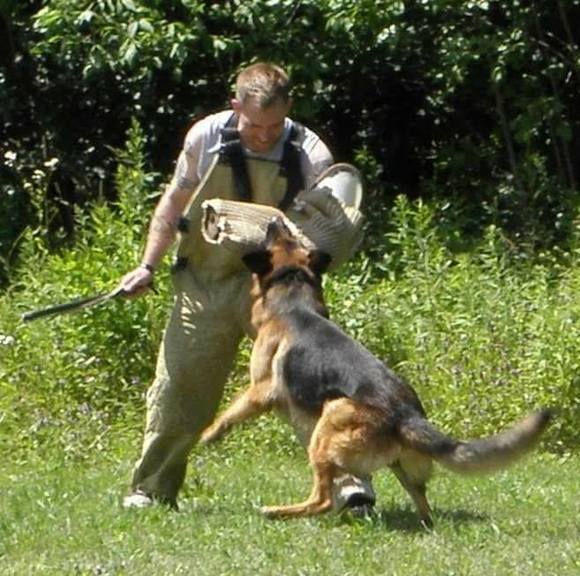 Meet your Posher, Kevin - Picture 1 of 1